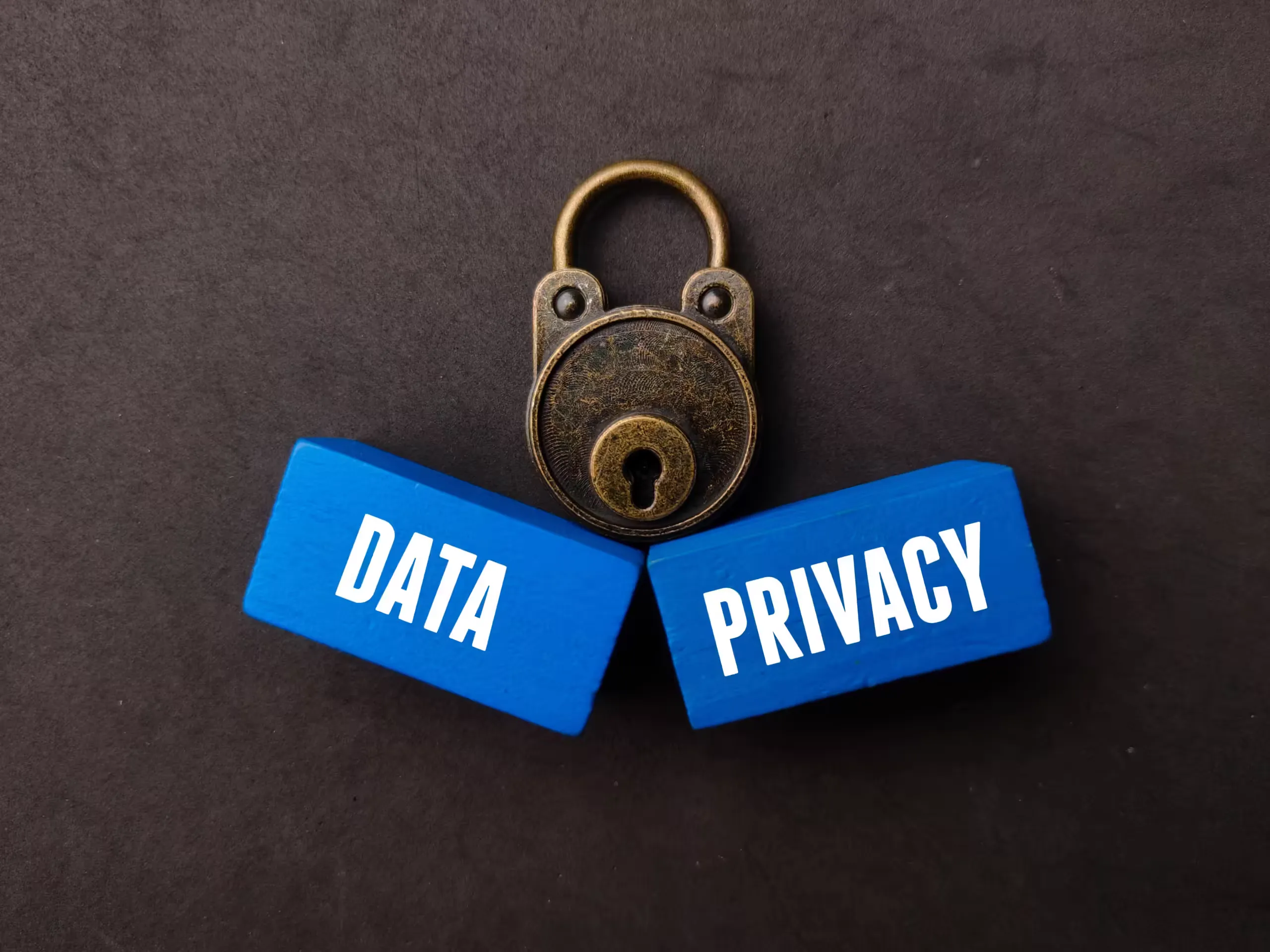 Automated data privacy compliance with PiiVacy software